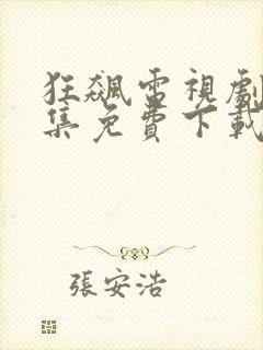 狂飙电视剧40集免费下载观看