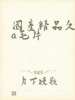 国产精品久久久a毛片