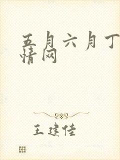 五月六月丁香激情网