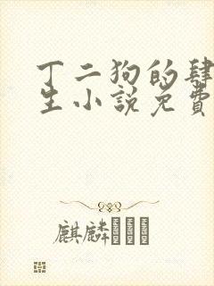 丁二狗的肆意人生小说免费阅读全文完整版封面