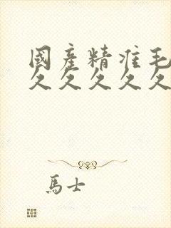 国产精准毛片久久久久久久av