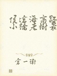 侯沧海商路笔记小桥老树最新完整版