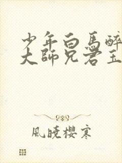 少年白马醉春风大师兄君玉