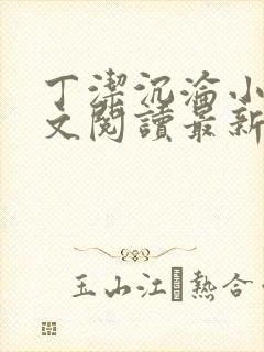 丁洁沉沦小说全文阅读最新章节更新