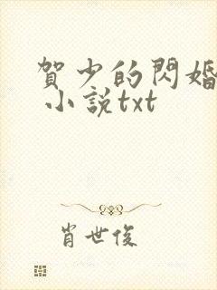 贺少的闪婚暖妻 小说txt