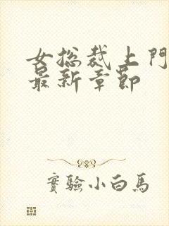 女总裁上门女婿最新章节封面