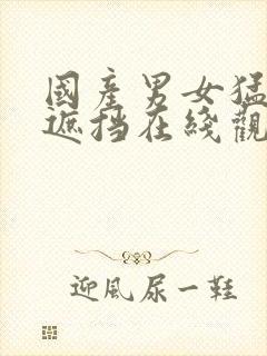 国产男女猛烈无遮挡在线观看网站