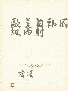 欧美日韩国产一级内射封面