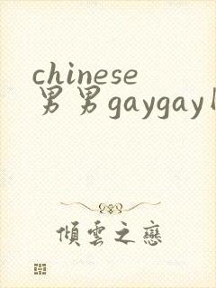chinese男男gaygay网站