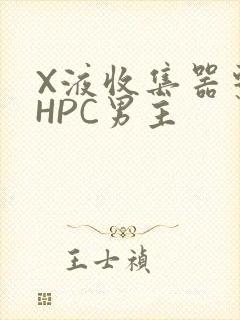 X液收集器系统HPC男主
