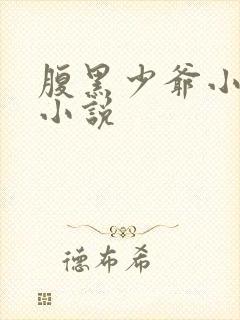 腹黑少爷小甜妻小说