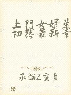 上门女婿叶辰萧初然最新章节