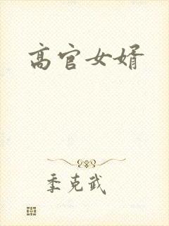 高官女婿