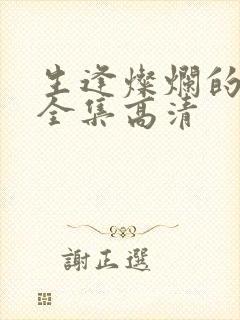 生逢灿烂的日子全集高清封面