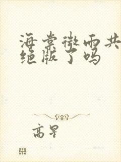 海棠微雨共归途绝版了吗封面