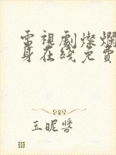 电视剧灿烂的转身在线免费观看