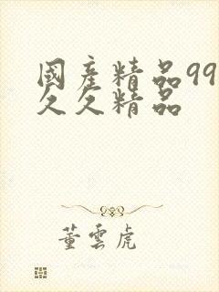 国产精品99久久久精品