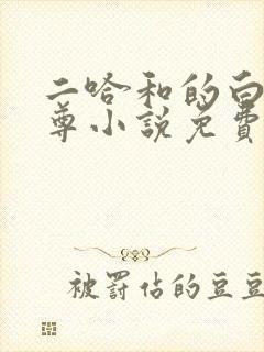 二哈和的白猫师尊小说免费阅读
