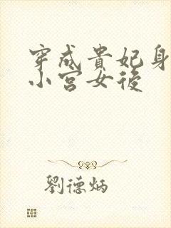 穿成贵妃身边的小宫女后