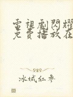 电视剧闪耀的她免费播放在线观看