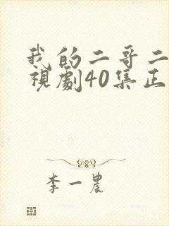 我的二哥二嫂电视剧40集正片封面