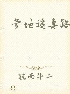 爹地追妻路漫漫封面