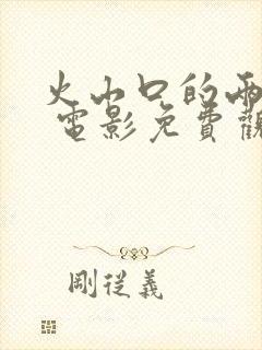 火山口的两个人 电影免费观看