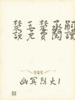 楚玉楚承嗣的小说免费阅读无弹窗