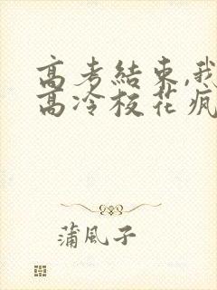 高考结束,我被高冷校花疯狂追求全本下载