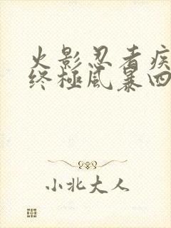 火影忍者疾风传终极风暴四封面