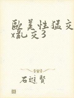 欧美性猛交xxx乱交3封面