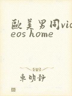 欧美男同videos home