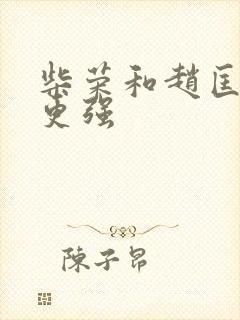 柴荣和赵匡胤谁更强