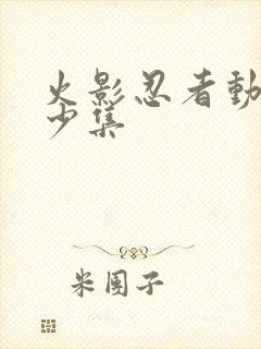 火影忍者动画多少集