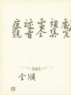 痕迹电视剧免费观看全集完整版封面