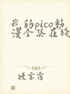 我的pico动漫全集在线观看封面