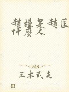 赵构是赵匡胤的什么人