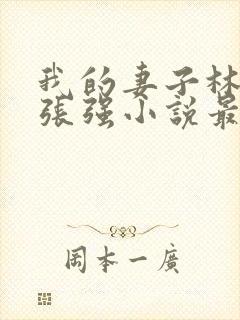 我的妻子林慧茹张强小说最新章节阅读