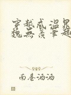 穿越成温晁cp魏无羡笔趣阁封面