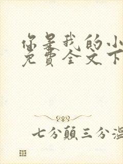 你是我的小确幸免费全文下载