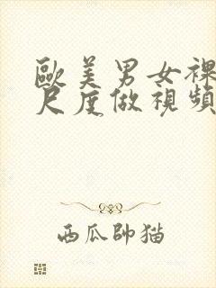 欧美男女裸体大尺度做视频网站