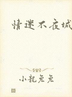 情迷不夜城