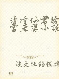 清冷仙君给老丑当老婆小说简介