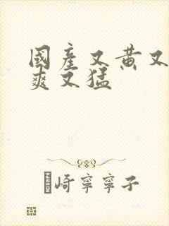 国产又黄又大又爽又猛