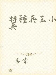 特种兵王小说战兵