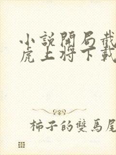 小说开局截胡五虎上将下载封面