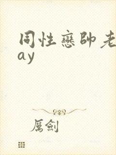 同性恋帅老头gay