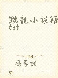 黜龙小说精校版txt