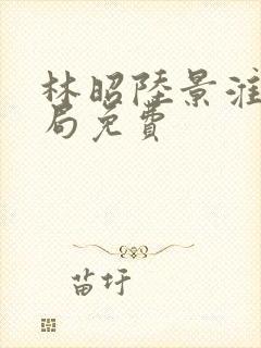 林昭陆景淮大结局免费封面