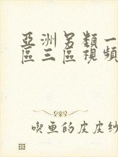 亚洲另类一区二区三区视频